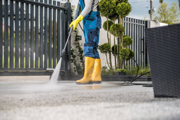 Best Gutter Cleaning  in Chena Ridge, AK